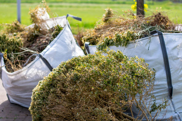 Best Dumpster Rental Services  in Schofield, WI