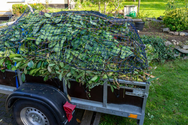 Best Hoarding Cleanup  in Schofield, WI